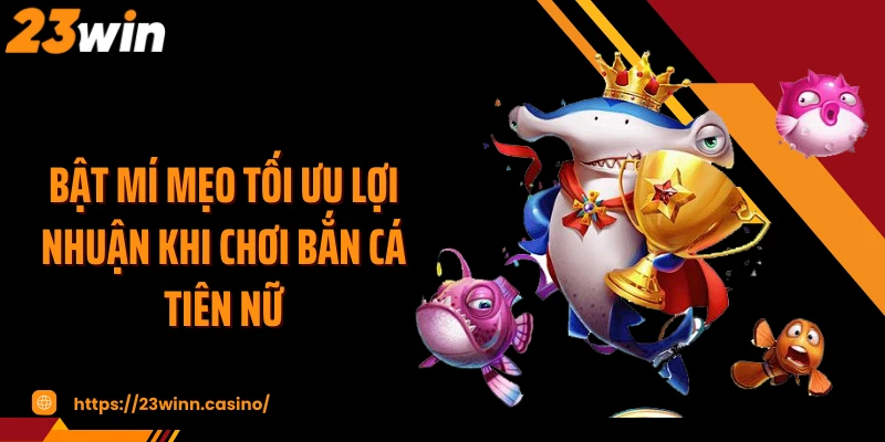 Bật mí mẹo tối ưu lợi nhuận khi chơi bắn cá tiên nữ