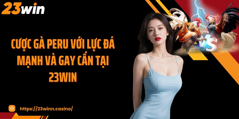 Cược gà Peru với lực đá mạnh và gay cấn tại 23WIN