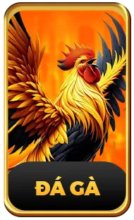 đá gà 23win