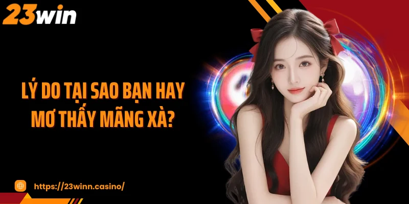 Lý do tại sao bạn hay mơ thấy mãng xà?